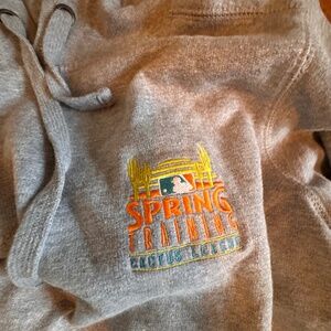 Spring Training MLB Hoodie